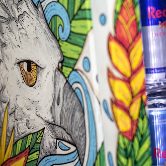Red Bull CANVAS COOLER: 10 визуални артисти ще творят върху бели мини хладилници 