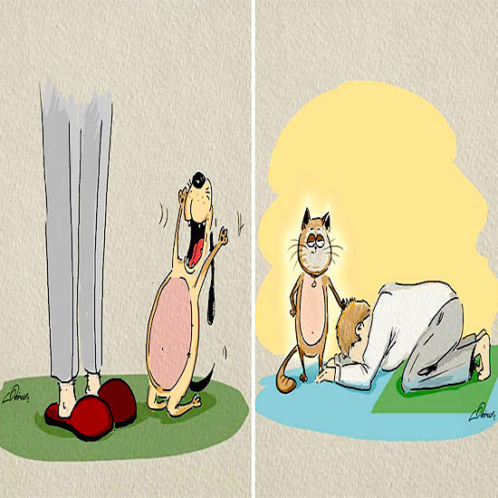 Cats vs Dogs: 6 разлики в забавни илюстрации