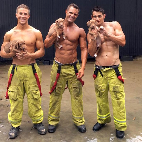 Пожарникари и кученца ♥ Благотворително и горещо