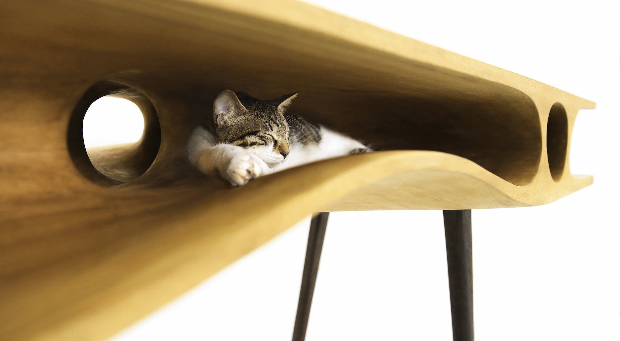 Котки под масата ~ CATable