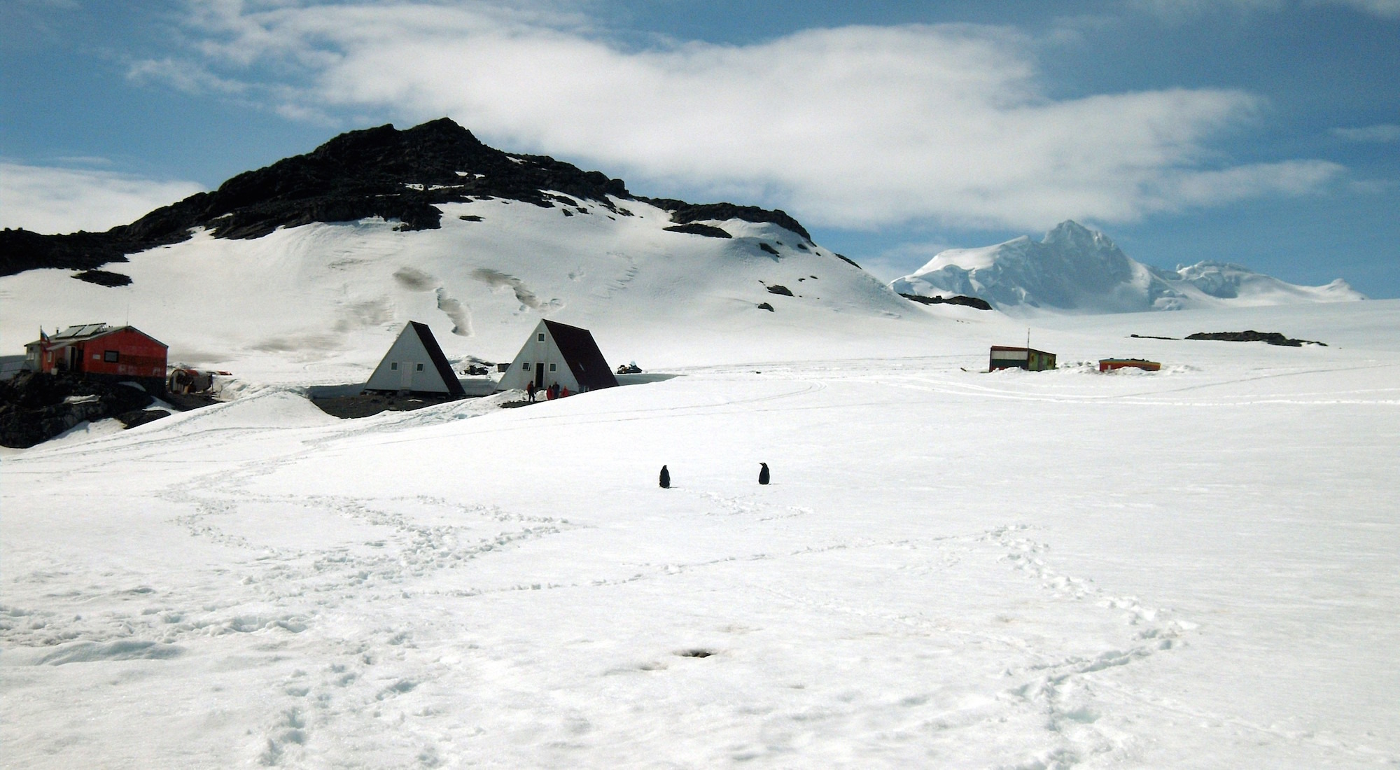 25-та Юбилейна Антарктическа експедиция