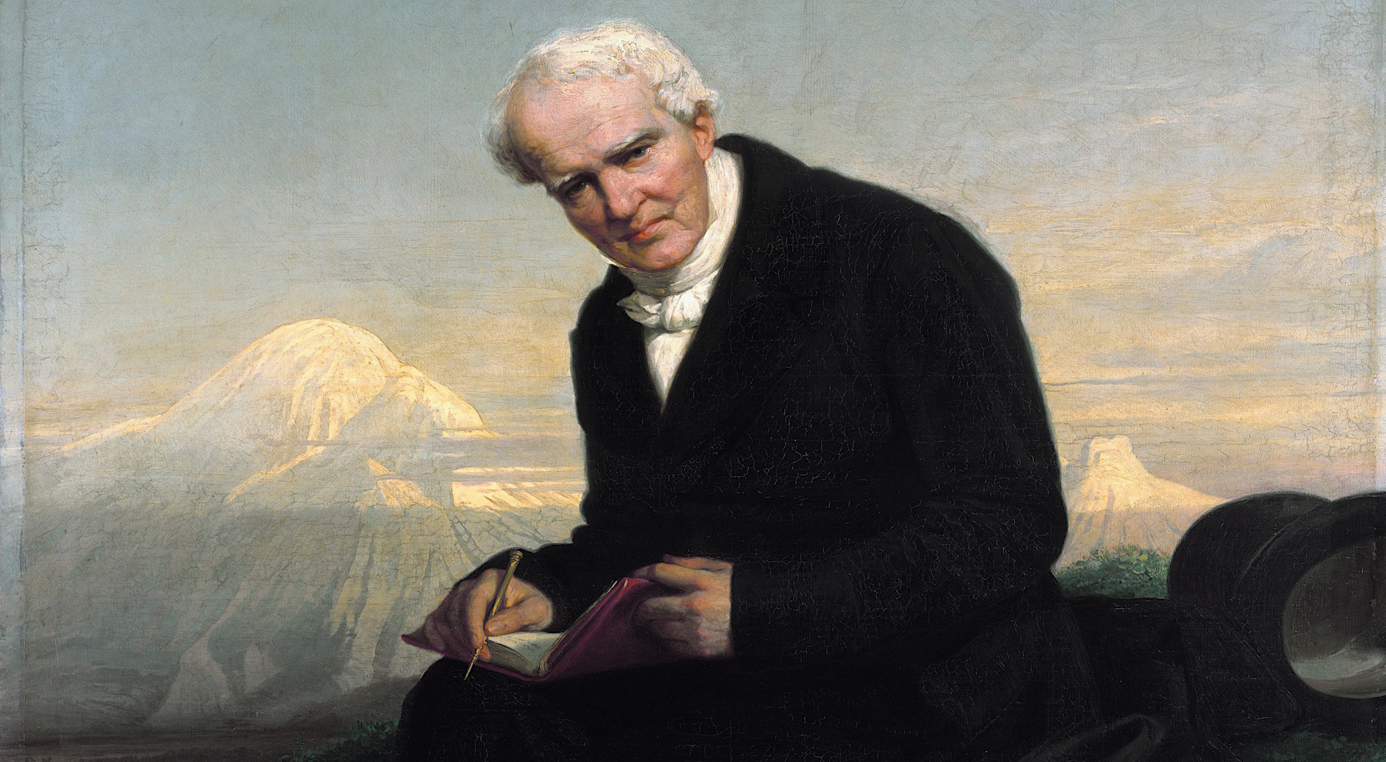 Александр фон гумбольдт alexander von humboldt роза