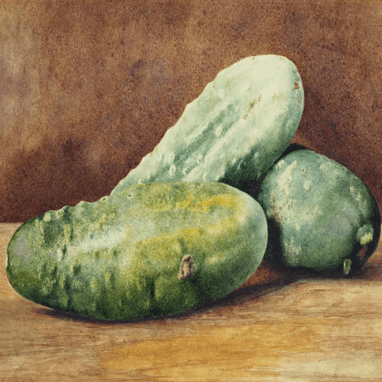 Пресният сок от краставица е най-добрият подмладяващ еликсир на света ♥ Лечителят медиум